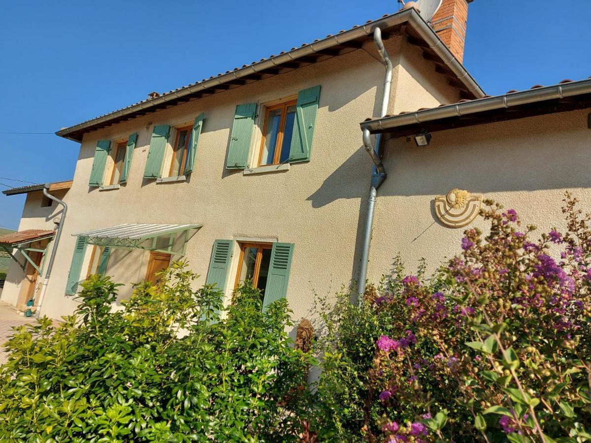 Le Moulin De L'Etang Hotel Chaneins Exterior foto